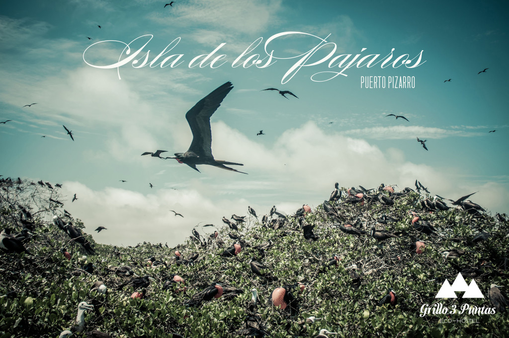 Isla de los Pájaros 